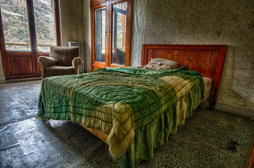 hotel regina bedroom copy