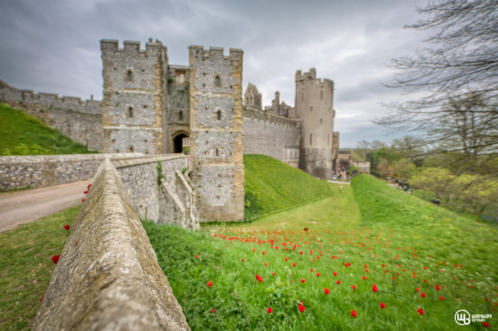 Arundel Castle Gardens - UK | 2025