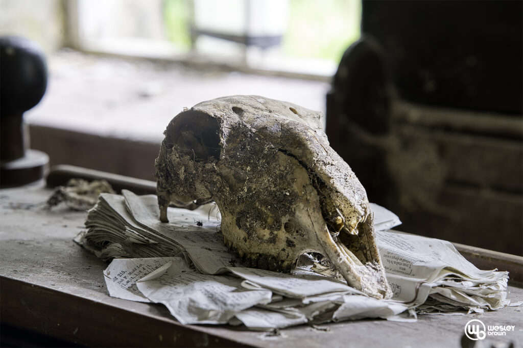 Sheep Chapel &ndash; Wales | 2023