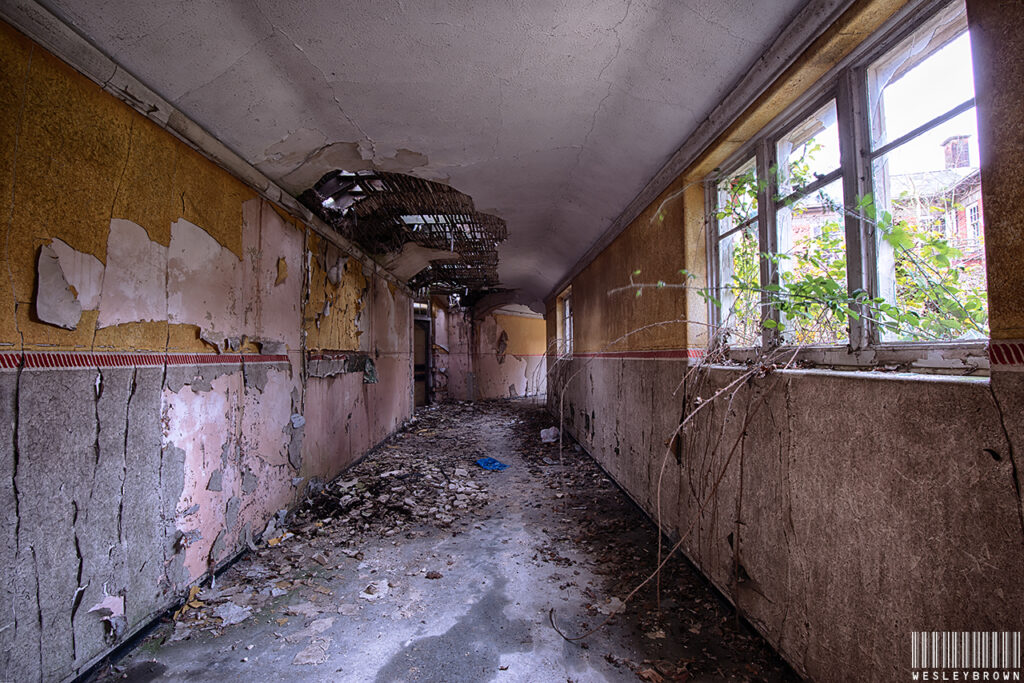 A long, decaying hallway in an abandoned asylum with peeling wallpaper, broken ceiling, and overgrown plants spilling through a broken window.
